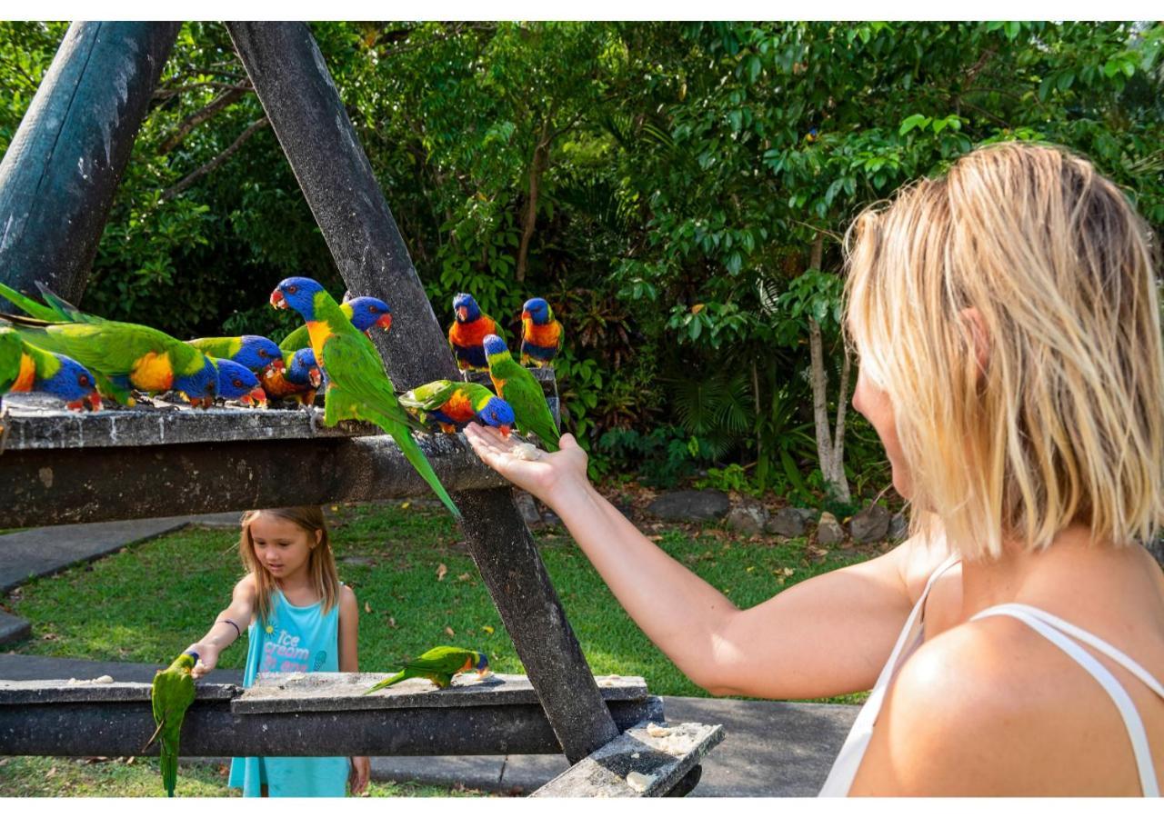 Discovery Parks - Airlie Beach Ngoại thất bức ảnh