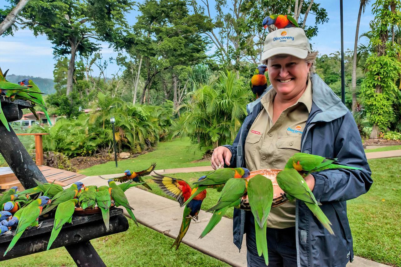 Discovery Parks - Airlie Beach Ngoại thất bức ảnh